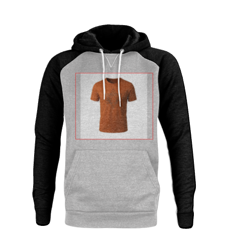 Hoodie (Customized)